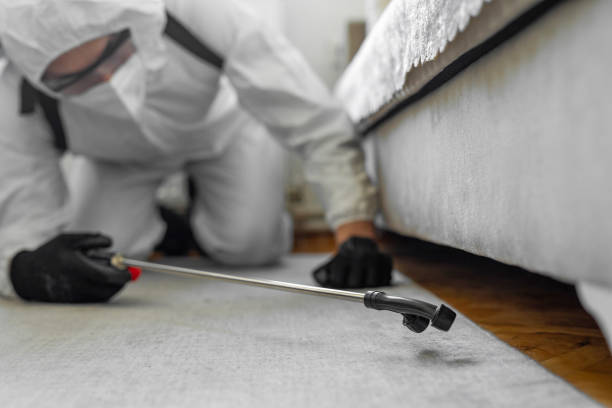 Professional Bed Bug Control technician working in Lee County County, SC